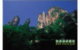 網(wǎng)絡(luò)熱門(mén)純玩游：張家界、天子山、袁家界、楊家界 自助三日游