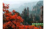 春節(jié)期間：張家界、天子山、金鞭溪自駕車精華精品游